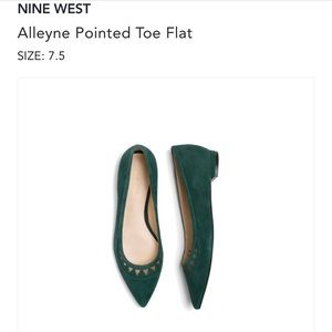 Nine West Alleyne Pointed Toe Flats
